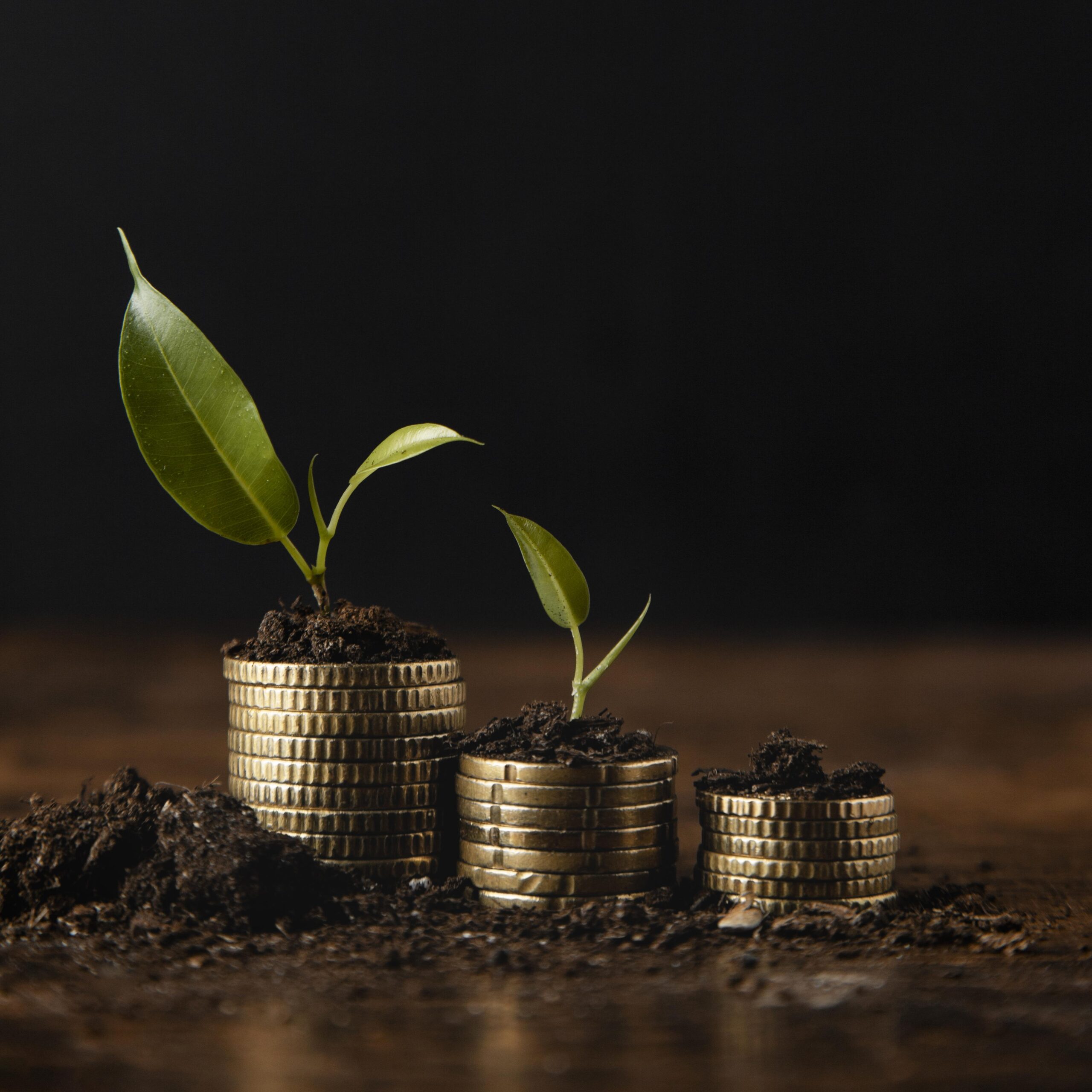 Institutional equity investment and market advisory